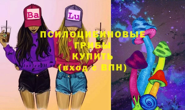 прущая мука Лабытнанги