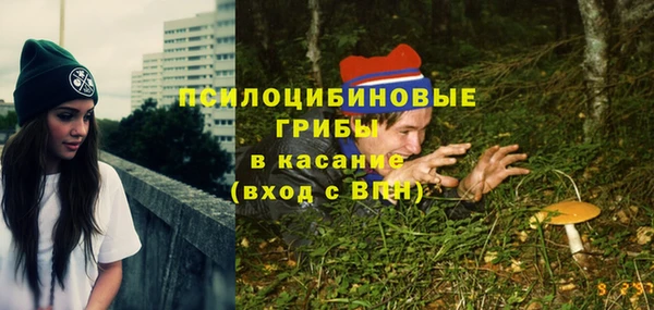 сатива Мегион