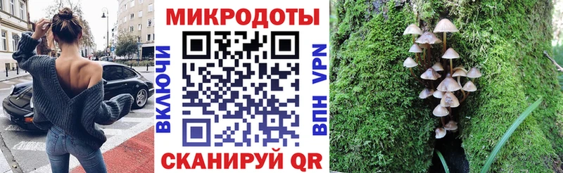 Псилоцибиновые грибы мицелий Йошкар-Ола