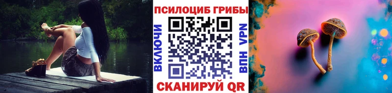 Псилоцибиновые грибы прущие грибы  Купить  Йошкар-Ола 