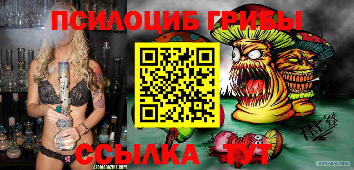 Псилоцибиновые грибы GOLDEN TEACHER  Галлюциногенные грибы Psilocybine cubensis  Вход с VPN  Йошкар-Ола 