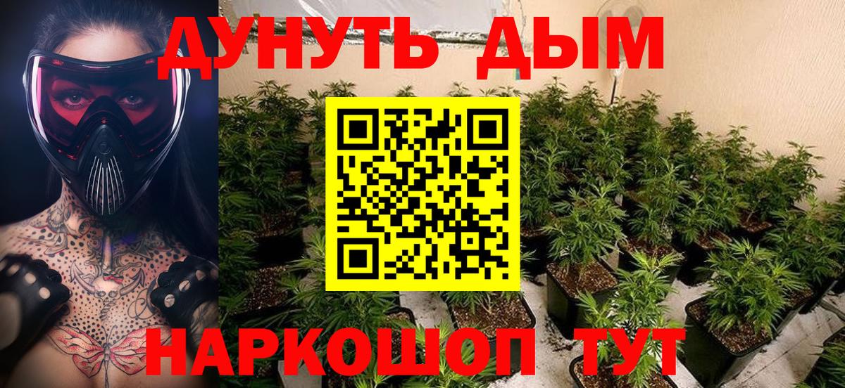 Марихуана конопля  Йошкар-Ола  МАРИХУАНА Bruce Banner  Каннабис ГИДРОПОН 